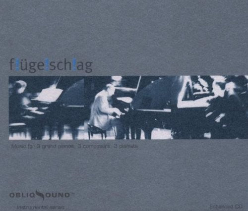 Flugelschlag - Flugelschlag - Music CD