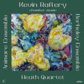 Raftery / Heath Quartet / Animare Ensemble - Kevin Raftery: Chamber Music - Music CD
