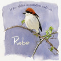 Robe - Lo Que Aletea En Nuestras Cabezas - Music CD
