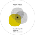 Tanaka,fumiya - Beautiful Days Ep2 - Vinyl Record