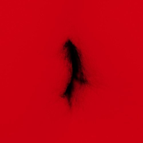 Dingwei - Untied - Vinyl Record