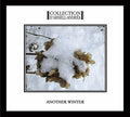 Collection D'arnell-andrea - Another Winter - Music CD