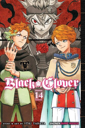Tabata,yuki - Black Clover Vol 14 - Books