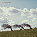 Pineapple Thief - What We Have Sown - Vinyl Record
