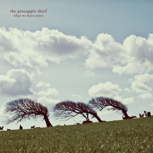 Pineapple Thief - What We Have Sown - Vinyl Record