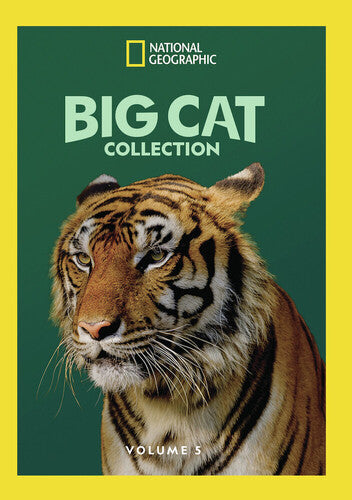 Big Cat Collection 5 - Big Cat Collection 5 - DVD