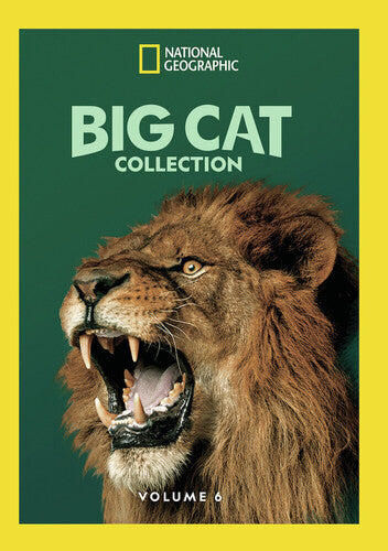 Big Cat Collection 6 - Big Cat Collection 6 - DVD