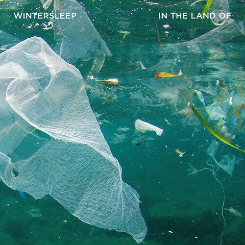 Wintersleep - In The Land Of - Vinyl Record