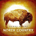 Burns,danny - North Country - Vinyl Record