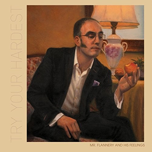 Mr.flannery & His Feelings - Try Your Hardest - Music CD