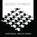 Adams / Dodo Street Band / Byrne - Natural Selection - Music CD