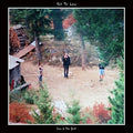 Fell To Low - Low In The Dust - Vinyl Record