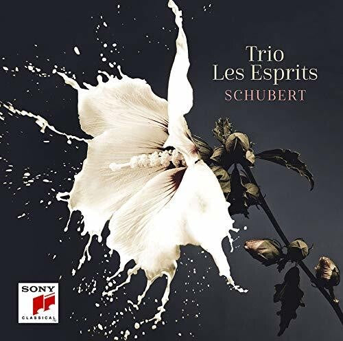 Trio Les Esprits - Schubert - Music CD