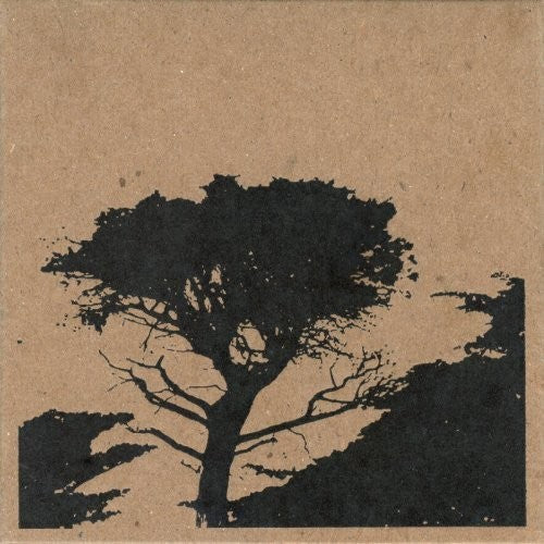 Taiga Remains - Ribbons Of Dust - Music CD