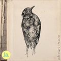 Krakesolv - Pangea - Music CD