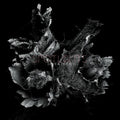 Spotlights - Love & Decay - Vinyl Record