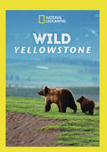 Wild Yellowstone - Wild Yellowstone - DVD
