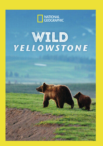 Wild Yellowstone - Wild Yellowstone - DVD