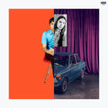 Mike Krol Is Never Dead: The First Two Records [LP] Vinyl Record