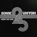 Now We Are 25 / Various - Now We Are 25 / Various - Vinyl Record