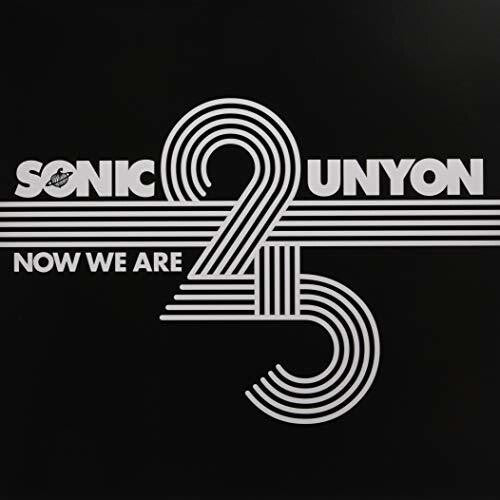Now We Are 25 / Various - Now We Are 25 / Various - Vinyl Record