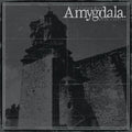 Amygdala - Our Voices Will Soar Forever - Music CD