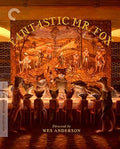Criterion Collection - Fantastic Mr Fox/dvd - DVD