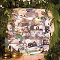 Mise En Scene - Still Life On Fire - Music CD