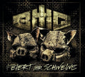 Bmg Aka Brachiale Musikgestalter - Feiert Ihr Schweine - Music CD