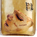 Putrid Offal - Anatomy - Music CD