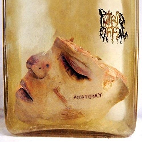 Putrid Offal - Anatomy - Music CD