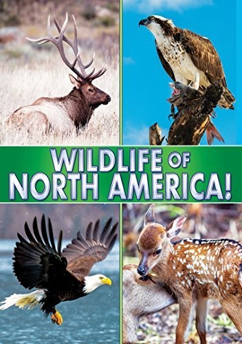 Wildlife Of North America - Wildlife Of North America - DVD