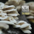 Brokaw,chris - Now Forager - O.s.t. - Vinyl Record