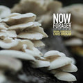 Now Forager (Original Soundtrack) [LP] Vinyl Record