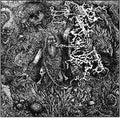 Animist [LP] Vinyl Record