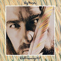 Harper,roy - Bullinamingvase - Music CD