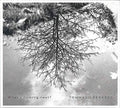 Perazzo,tommaso Trio - What's Coming Next - Music CD