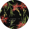 Taiko / White,chaz - Cold Empty Bed - Vinyl Record