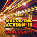 Waterboys - Where The Action Is - Vinyl Record