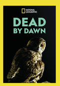 Dead By Dawn - Dead By Dawn - DVD