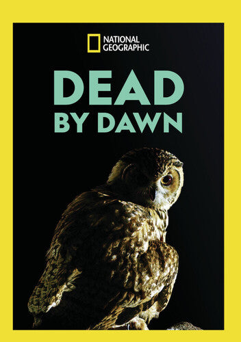 Dead By Dawn - Dead By Dawn - DVD
