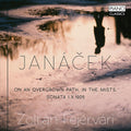 Janacek / Fejervari - On An Overgrown Path - Music CD