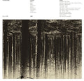 Low Flying Hawks - Genkaku - Vinyl Record