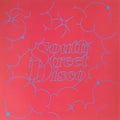 Vitous,miroslav - New York City - Vinyl Record