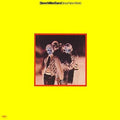 Miller,steve - Brave New World - Vinyl Record