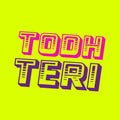 Teri,todh - Deep In India 1 - Vinyl Record