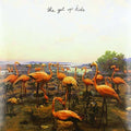 Get Up Kids - Problems - Vinyl Record