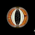 Tuomarila,alexi Trio - Sphere - Music CD