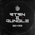 Chase & Status - Rtrn Ii Jungle - Vinyl Record