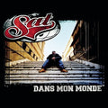 Sat L'artificier - Dans Mon Monde - Vinyl Record